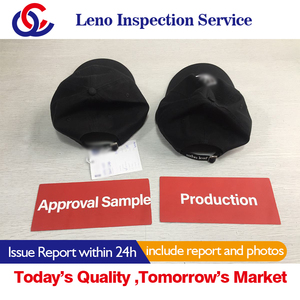 Certificat d'inspection du service de dédouanement - Product Image 5