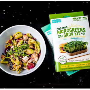 Retour à Roots 6-Grow Variety Pack DIY Microgreen Kit de culture pour <span class=keywords><strong>la</strong></span> maison et le jardin - Product Image 6