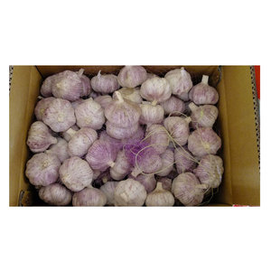 Ajo fresco rojo regular pelado fresco para la venta <span class=keywords><strong>Comprar</strong></span> ajo a granel <span class=keywords><strong>Comprar</strong></span> ajo por toneladas - Product Image 6