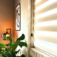 Persianas Zebra Motorizadas Compatibles con Smart Home, Cortinas Enrollables Opacas para Ventanas con Tapas Finales, Instalación Integrada, Técnica Sencilla