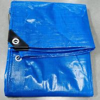 Bâche en PE 100% imperméable de haute qualité pour camion, couvre-toit, couvre-charge, bâche durable très vendue