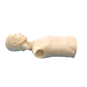Maniquí <span class=keywords><strong>de</strong></span> PVC Avanzado para Simulación <span class=keywords><strong>de</strong></span> Entrenamiento <span class=keywords><strong>de</strong></span> Cuidado <span class=keywords><strong>de</strong></span> Sondas Nasogástricas y Traqueales para Educación en Escuelas, con Certificación CE/ISO - Product Image 2