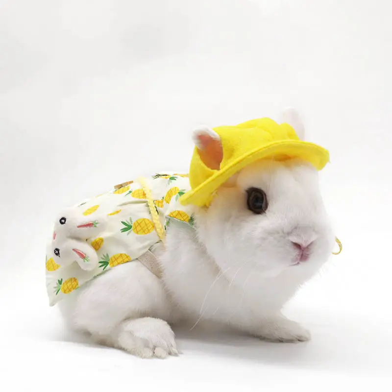 Roupas de coelho para animais, roupas bonitas para animais de estimação, frutas, coelho, roupas florais para animais de estimação