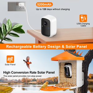 Smart Outdoor Waterproof AI Detect 10,000 <strong>Bird</strong> Species Squirrel-proof <strong>Bird</strong> <strong>Feeder</strong> with Camera - Product Image 4