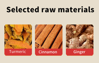 Tisane Détox Naturelle Riche en Antioxydants pour le Soutien Digestif et Articulaire, Anti-inflammatoire, au Curcuma, Gingembre et Cannelle