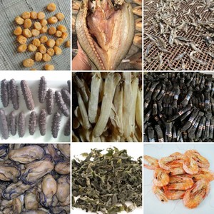 KINKAI, лидер продаж, сушилка для Customization6-40, рыбы, говядины, консервированного мяса, колбасы, морского огурца, сушилка с тепловым насосом - Product Image 4