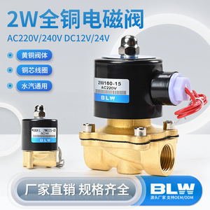 Vanne solénoïde en cuivre massif 2W, 3/4 pouces, AC220V, pour eau et gaz, température normale - Product Image 1