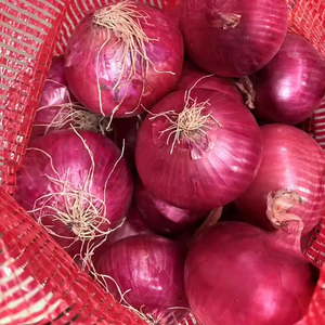 Cebollas Rojas más vendidas Verduras frescas y envasadas para exportación Cebollas Rojas frescas naturales al por mayor - Product Image 3