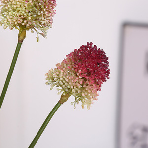 <span class=keywords><strong>Fleur</strong></span> artificielle d'allium multicolore de 55 cm, tige de <span class=keywords><strong>fleur</strong></span> de faux <span class=keywords><strong>oignon</strong></span> à 3 têtes, pour la décoration de la maison, des fêtes et des mariages 2026 - Product Image 6