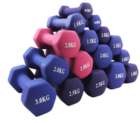 Haltères roses à usage domestique haltères en néoprène pour la musculation du fitness pour femmes haltères hexagonaux revêtus de fer à tremper