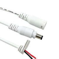Câble de connecteur d'alimentation CC mâle-femelle avec prise à clé, 2 broches, câble pré-étamé noir et blanc pour caméra CCTV