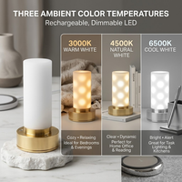 Module lumineux magnétique rechargeable facile à installer pour applique murale et lampe de table, ampoule LED à piles avec télécommande