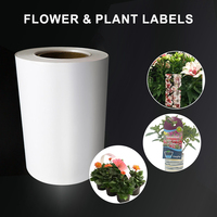 Papier synthétique PP XUECHENG, matière première résistante aux UV pour la fabrication d'étiquettes de fleurs, de poivrons, de tomates et de plantes aromatiques