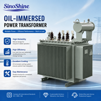 Transformateur triphasé immergé dans l'huile 60Hz 11kV 200kVA 220V 110V pour alimentation industrielle