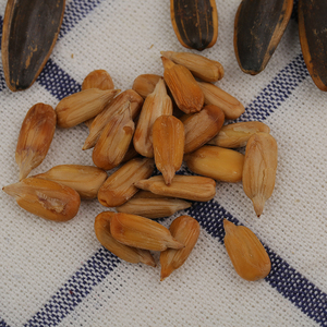 Hạt hướng dương nướng vị caramel ngọt, đóng gói túi nhỏ 100g, cỡ lớn, dành cho thị trường Châu Âu - Product Image 4