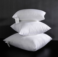 Vente en gros de coussin carré en coton blanc personnalisé confort canard oie insert de base technique de massage gonflable coussin tissé WS