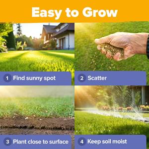 Vente <span class=keywords><strong>en</strong></span> gros de fleurs sauvages vivaces cultivées à domicile pour la plantation <span class=keywords><strong>en</strong></span> vrac - Product Image 3