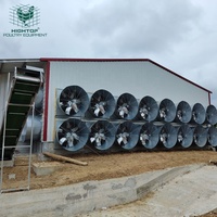 Nave Avícola Prefabricada de Acero con Sistema de Ventilación y Paneles de Enfriamiento Evaporativo para Climas Tropicales