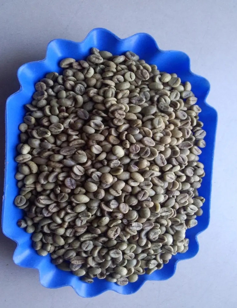 ROBUSTA GREEN COFFEE BEANS SCR#16, VIETNAM ORIGIN, HIGH QUALITY, REASONABLE PRICE (used to make hot beverage, etc.)