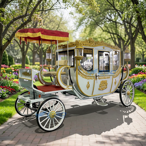 Calèche royale électrique haut de gamme pour occasions spéciales – Fabricant de calèches royales électriques à vendre - Product Image 1