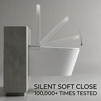 Nouvelle toilette intelligente de luxe à nettoyage automatique, WC mural intelligent avec télécommande