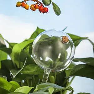 Hand-Blown Transparent Flower Plant Watering Globe Automatic Glass Watering Device