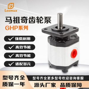 ปั๊มเกียร์ Marzucci รุ่น GHP1 GHP2 GHP3 350 บาร์ 1 สเตจ แบบยึดหน้าแปลน ปั๊มไฮดรอลิกขับเคลื่อนด้วยไฟฟ้า ปรับอัตราการไหลได้ - Product Image 5