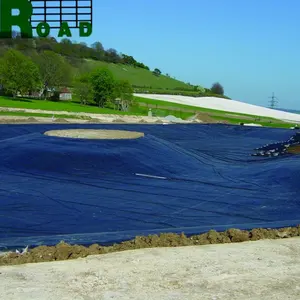 Feuille de plastique à membrane noire HDPE LDPE LLDPE revêtement de géomembrane vierge pour crevette poisson ferme étang barrage bâtiment Construction prix