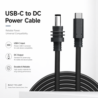 Câble adaptateur personnalisé 100W 20V Type C vers prise mâle DC, étanche IP67, câble d'alimentation 18AWG pour Starlink Mini