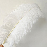 Plumes d'autruche rose clair teinte, 50-55cm, de haute qualité, unités