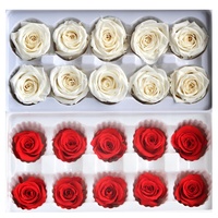 Vente en gros de roses éternelles stabilisées de 3-4 cm avec boîte cadeau