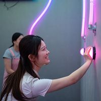 Installations artistiques interactives lumineuses LED pour jeux actifs, jeux multijoueurs et effets de flash, pour parcs à thème