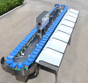 Dễ Dàng Hoạt động Dừa Phân Loại Dưa Chuột Phân Loại Máy Rau Quả Rửa Làm Sạch Phân Loại Dây chuyền Chế Biến - Product Image 4