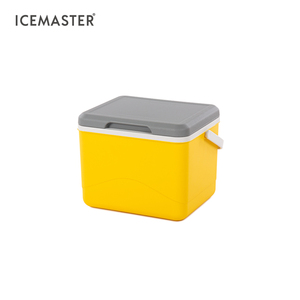 Icemaster cấp bằng sáng chế thiết kế 5L 6 lon bán buôn <span class=keywords><strong>Cooler</strong></span> Beige màu xanh lá cây Nâu Trắng vàng nhỏ <span class=keywords><strong>Ice</strong></span> ngực hộp mát mẻ - Product Image 3