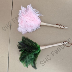 Plumeau en plumes d'autruche teintes <span class=keywords><strong>de</strong></span> haute qualité, directement <span class=keywords><strong>de</strong></span> l'usine, pour le nettoyage des meubles, des voitures et des équipements électriques. - Product Image 4