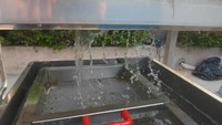 Fruit En Groente Haarwol Roller Reinigingsmachine Wortel Was En Schilmachine