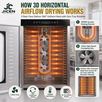 Machine de séchage commerciale pour la transformation alimentaire, sécheuse à fruits pour fraises, citrons, oranges