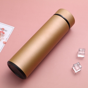 2025 Best Sales 500ml Double Wall Stainless Steel Vacuum Insulated Wholesale Water Bottle Tea Bottle with Tea Infuser - Product Image 5