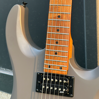 Guitares électriques haut de gamme en gros, 24 frettes, manche en érable torréfié, corps en peuplier, micros HH Alnico V, pont vibrato