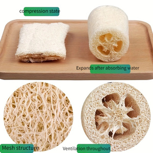 Thân Thiện Với Môi Tự Nhiên Loofah Miếng Bọt Biển Trắng Dưa Chuột Sợi Tái Sử Dụng Nhà Bếp Làm Sạch Bàn Chải Nồi Bát Scrubber Tắm Cơ Thể Nhà - Product Image 4