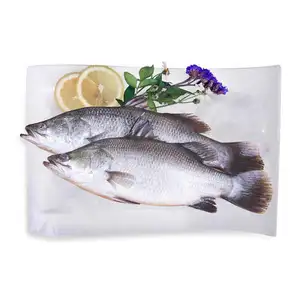 IQF Fresh Frozen Nil Barsch Meeres früchte Großhandel Live 400600g Barra mundi Sea bass Wr Fisch Preis