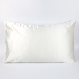 19mm 22Momme <strong>Silk</strong> <strong>Pillowcase</strong> 100% 6A Pure Mulberrry <strong>Silk</strong> Pillow <strong>Slip</strong> - Product Image 1