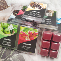 Litbright Oem Home Decor Aroma Geur Kaars Levert 6 Cell Clam Shell Verpakking Geurende Paraffine Soja Wax Blokjes