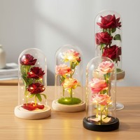 Rose éternelle artificielle Botu avec lumière LED, La Belle et la Bête sous cloche en verre, décoration de Noël pour la maison, cadeau pour la fête des mères, la Saint-Valentin