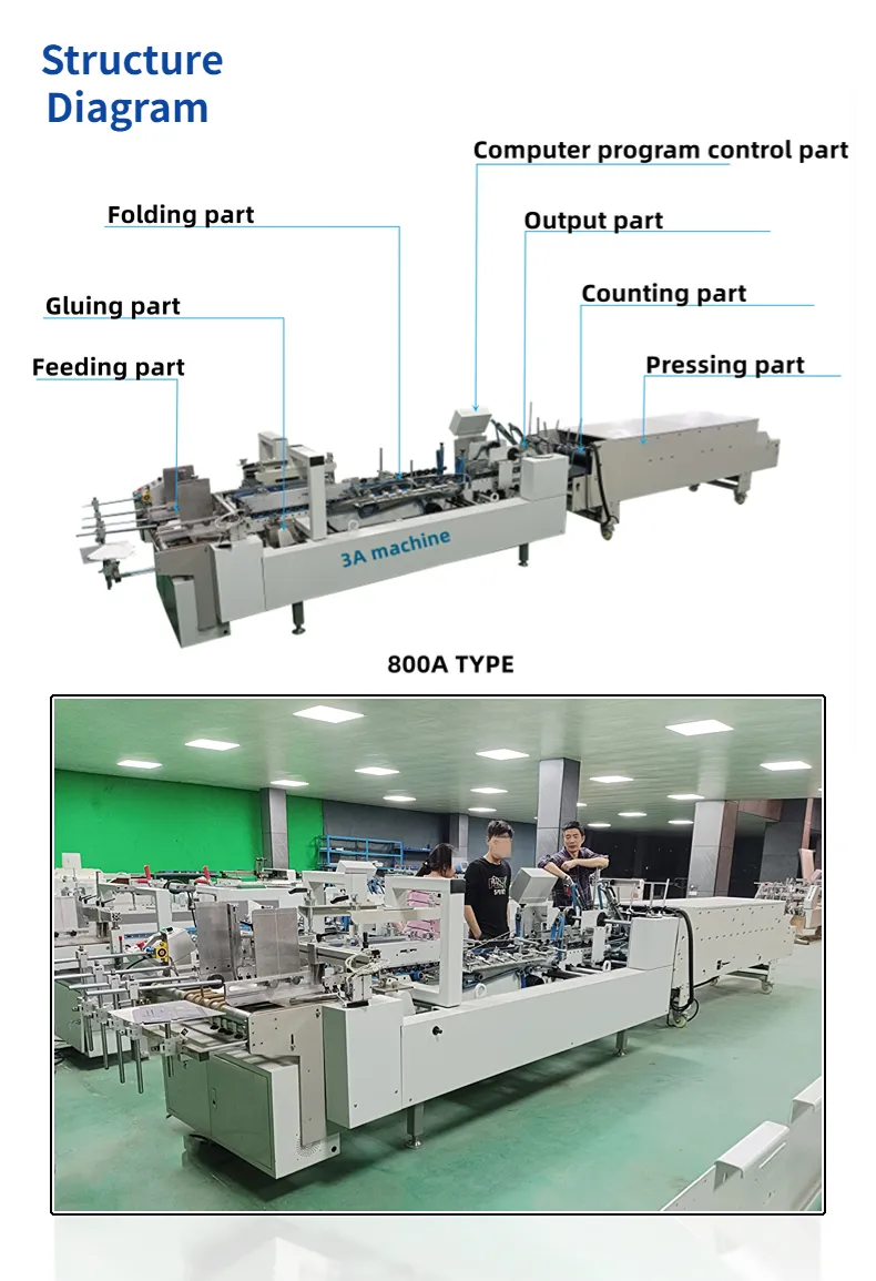 Cqt ~ 800 Karton/Gegolfde Rechte Lijn Doos Zware Automatische Map Gluer Machine Lijmen Machines