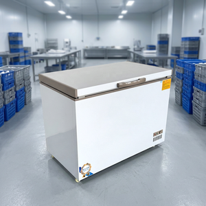 Congélateur coffre horizontal fiable à longue durée de vie pour climat tropical, système de stockage robuste avec quincaillerie - Product Image 1