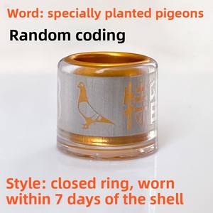 Essentiële Vogel Levert Nieuwe Duivenrace-Voetring Met Uniek Identificatiemerk Voor Gerichte Fokkerij Voor Duivenbezitters - Product Image 6