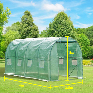 Drip Irrigation Optional CE RoHS PE Mesh Galvanized Steel Roll-up Window Family Garden Poly Tunnel Greenhouse