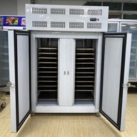 Professionele levering Mr Frio High RVS 304 Tweedeurs Schokvriezer Blast Chiller Digitale Temperatuurregeling Tecumseh