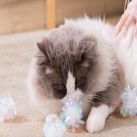 Bola Kertas Berbunyi untuk Kucing, Tahan Air, Penggunaan Dalam Ruangan, Penghilang Kebosanan, Grosir, Hiburan Anak Kucing, Mainan Hewan Peliharaan Plastik Warna-warni